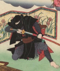 Gyokushin Ryū Ninpō (Ninjutsu)