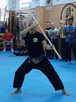 Unryu Sensēi, acciones Jō Jutsu