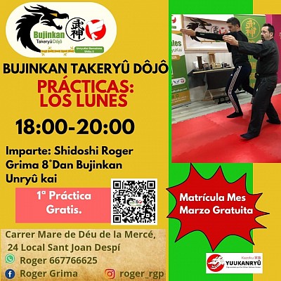 Bujinkan UnryuKai Shidōshi ROGER Grima