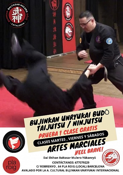BujinkanBaltasarMuleroDojo@gmail.com