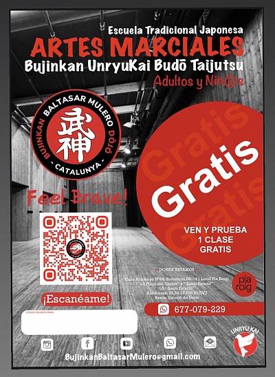 BujinkanBaltasarMuleroDojo@gmail.com
