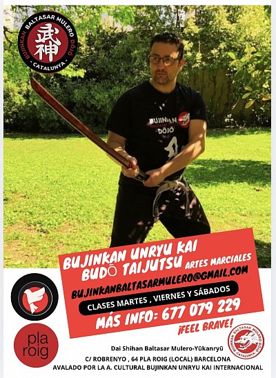 BujinkanBaltasarMuleroDojo@gmail.com