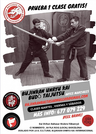 BujinkanBaltasarMuleroDojo@gmail.com